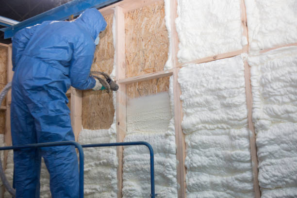 Types of Insulation We Offer in Westminster, CO